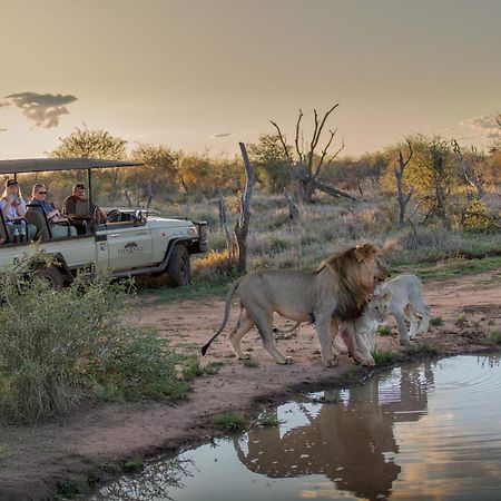 Tuningi Safari Lodge Madikwe Game Reserve Bagian luar foto